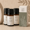 3'lü Glow Uçucu Yağ Karışımı Seti 10 ml %100 Doğal